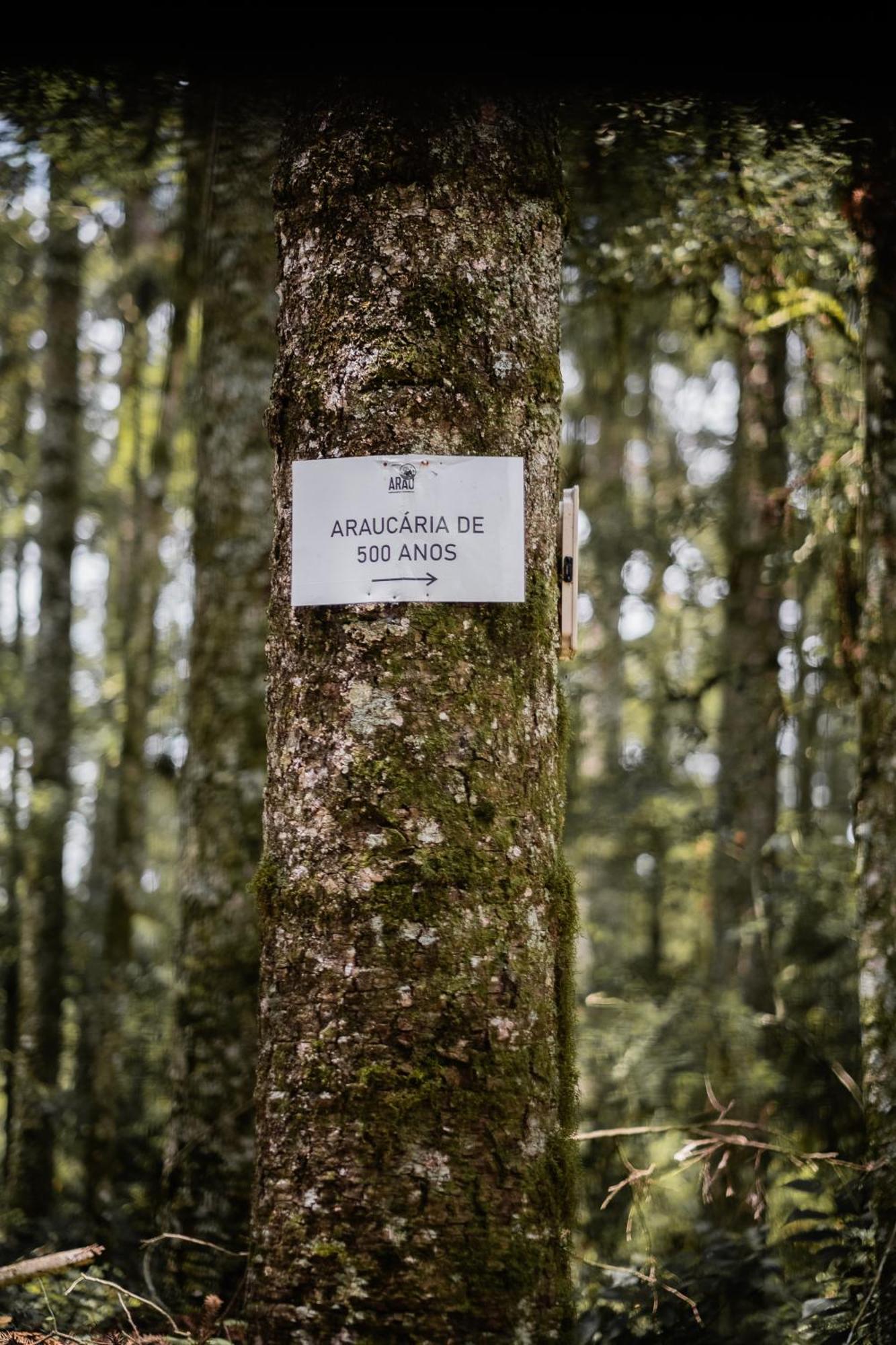 Arau Cabana Cheiro De Mato Flores da Cunha Eksteriør bilde